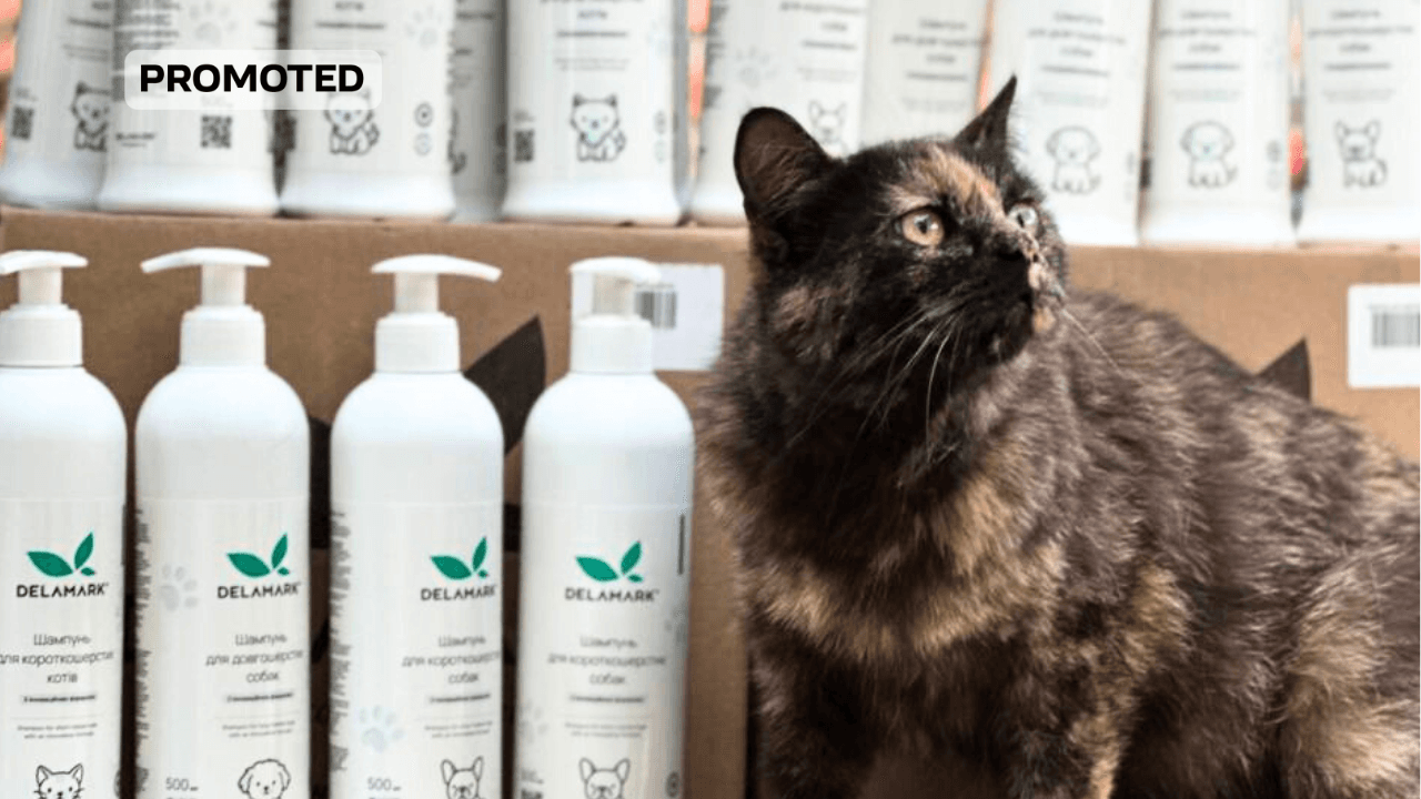 Екологічний догляд за тваринами: чому людський шампунь — найгірше рішення