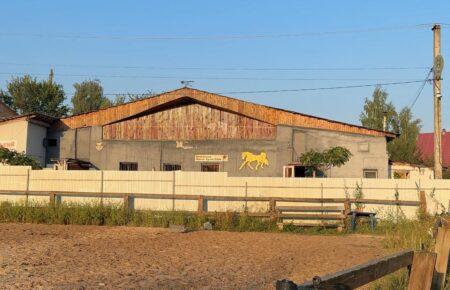 Російські «Шахеди» атакували кінний клуб на Київщині, семеро коней загинули