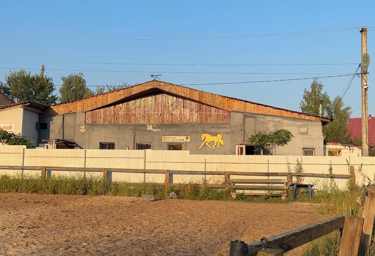 Російські «Шахеди» атакували кінний клуб на Київщині, семеро коней загинули