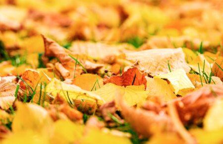 На вихідні в Україні буде майже літо: температура повітря зросте до 28 градусів тепла