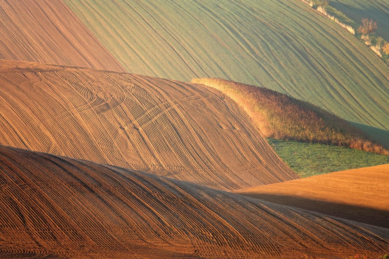 У найближчі дні спекотно буде лише на заході та півдні: прогноз погоди на кінець тижня