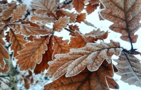 Синоптики попередили про заморозки у повітрі в кількох областях