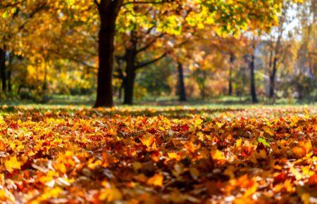 Синоптикиня розповіла, коли в Україні очікувати похолодання