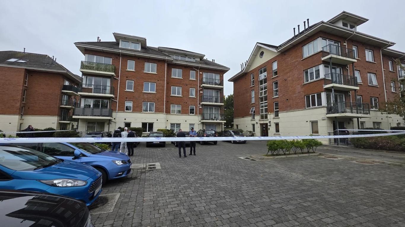 Українського підлітка вбили під час конфлікту в центрі для біженців в Ірландії