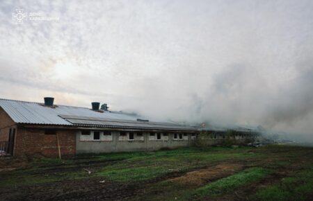 ДСНС: На Харківщині унаслідок російської атаки по сільгосппідприємству загинули близько 13 тисяч свиней