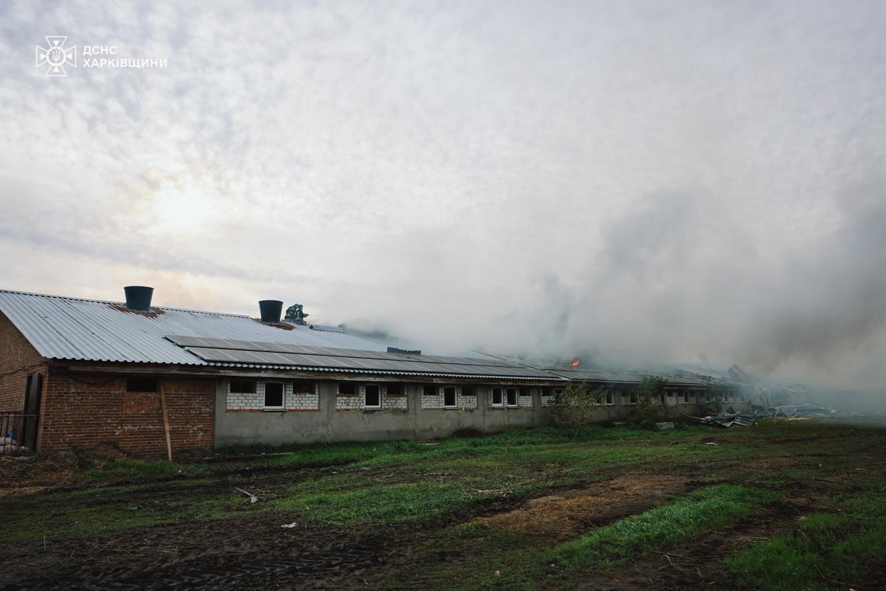 ДСНС: На Харківщині унаслідок російської атаки по сільгосппідприємству загинули близько 13 тисяч свиней