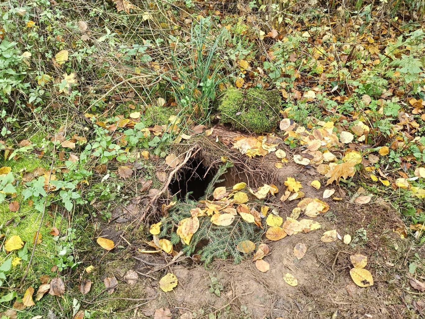 У Польщі виявили тунель на кордоні з Білоруссю