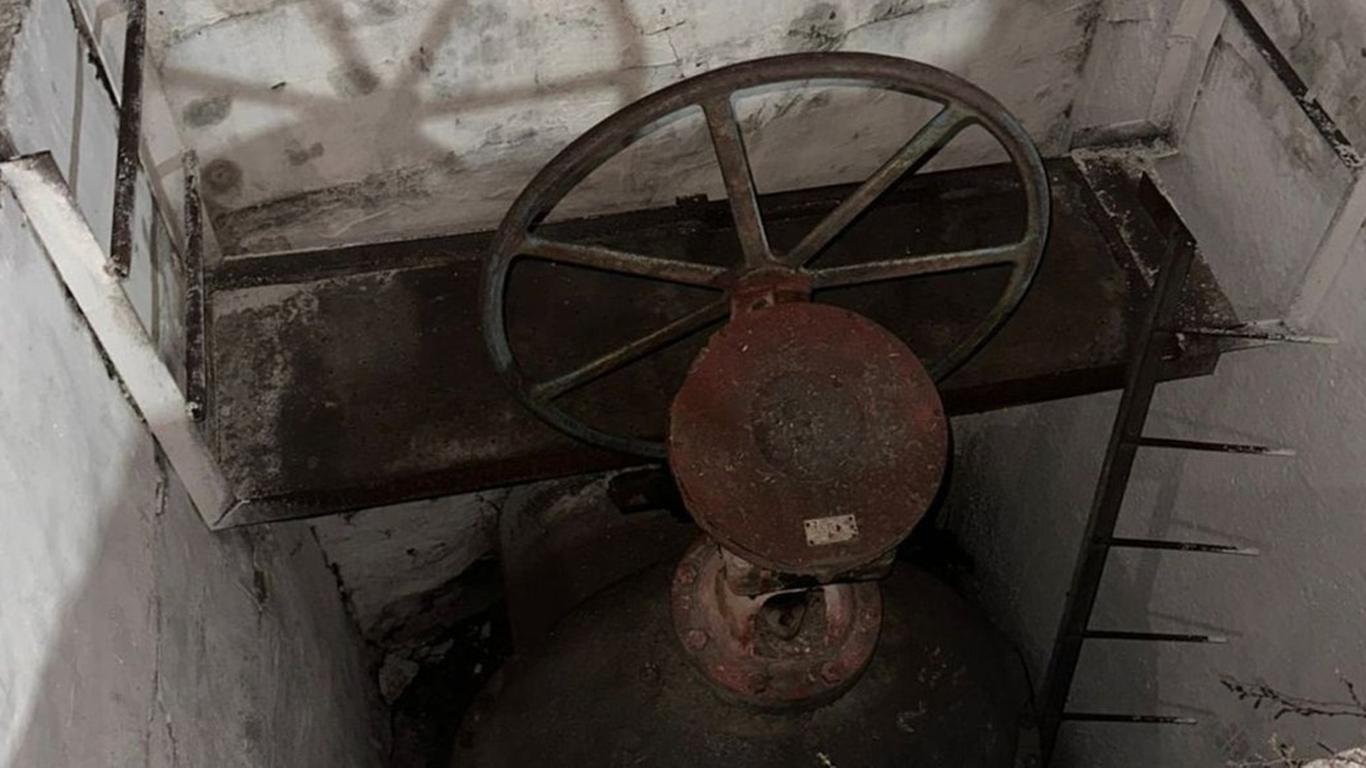 В одній з річок на Вінниччині виявили масову загибель риби (ВІДЕО)