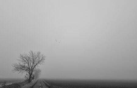 Листопад в Україні почнеться з теплої та сухої погоди