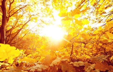 Листопад починається з подарунка від погоди: тепло і сонце