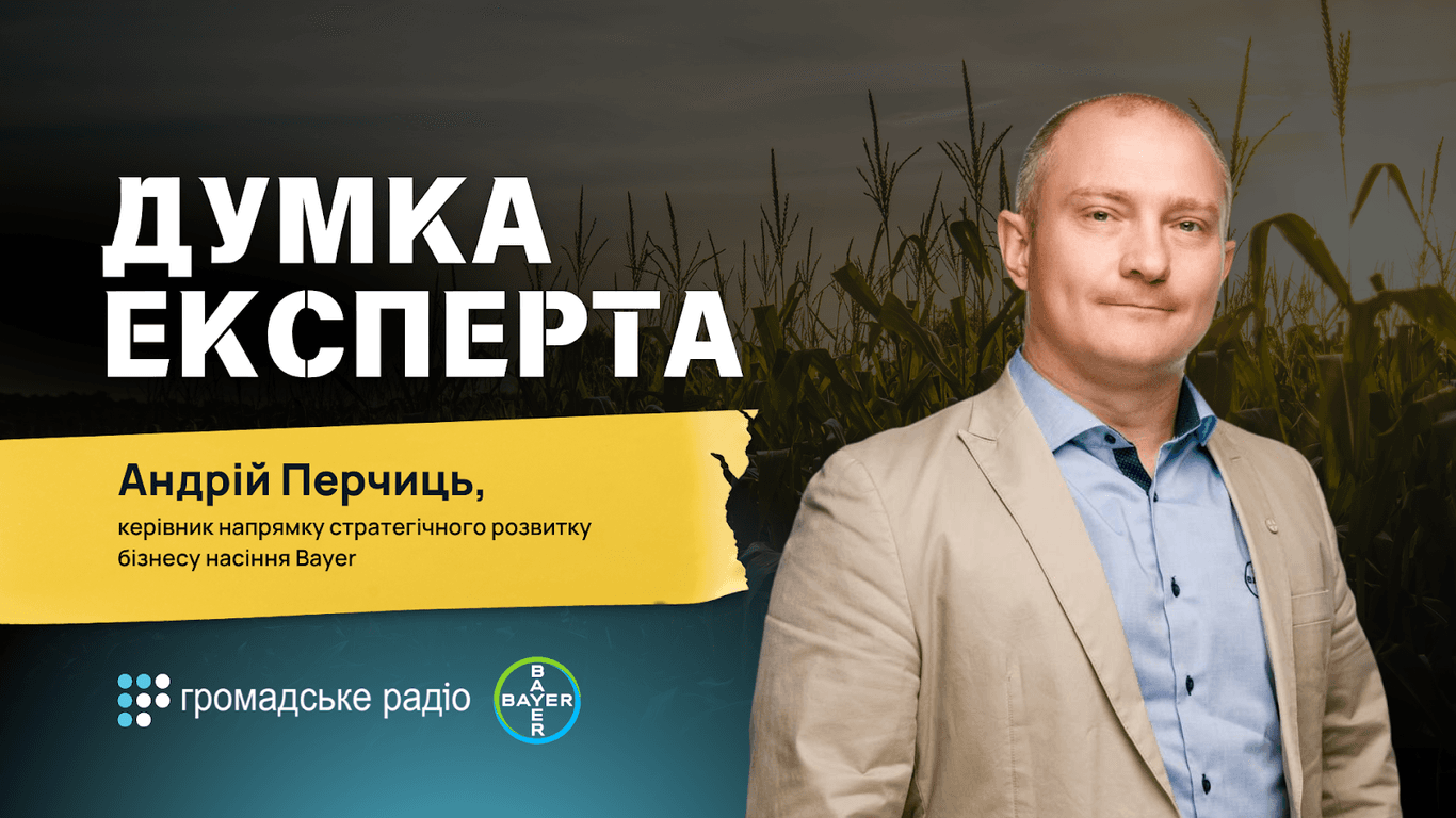 «Масштаб підробок насіння кукурудзи кричущий» — керівник напрямку стратегічного розвитку бізнесу насіння «Байєр» Андрій Перчиць