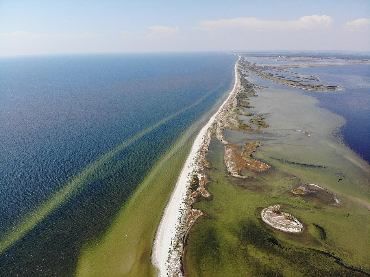 Росіяни знищили Кінбурнську косу та заповідник «Асканія-Нова»