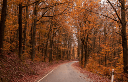 Прогноз на вихідні: тепла субота і дощова неділя