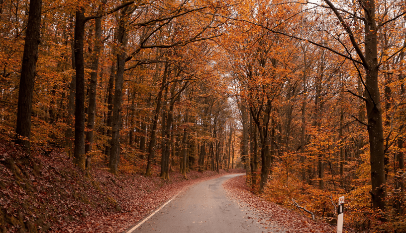 Прогноз на вихідні: тепла субота і дощова неділя