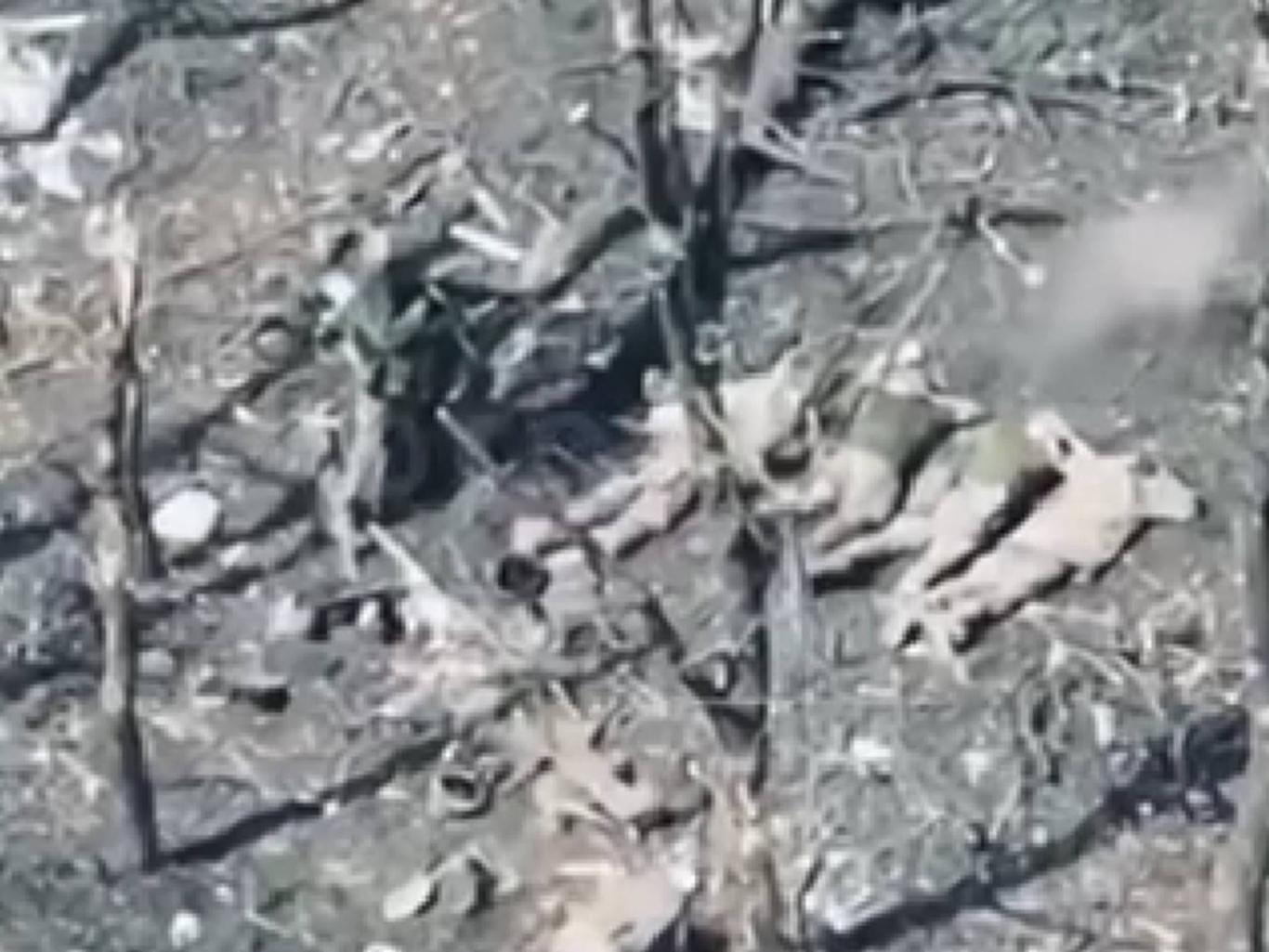 Росіяни розстріляли 5 українських військовополонених — Офіс генпрокурора