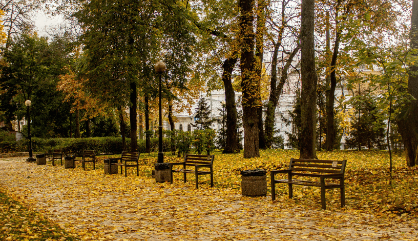 Погода на вихідні 22-23 листопада: на заході сніг і мороз, на сході до +18°C