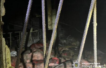 Росіяни вдарили по свинофермі на Чернігівщині, вбили тисячу тварин