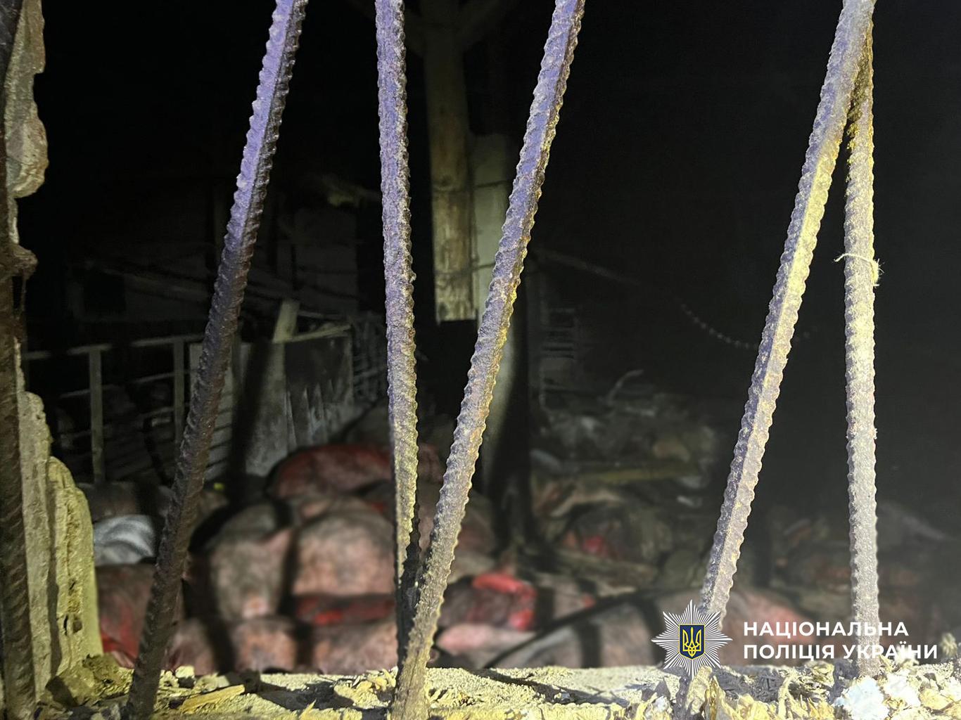 Росіяни вдарили по свинофермі на Чернігівщині, вбили тисячу тварин