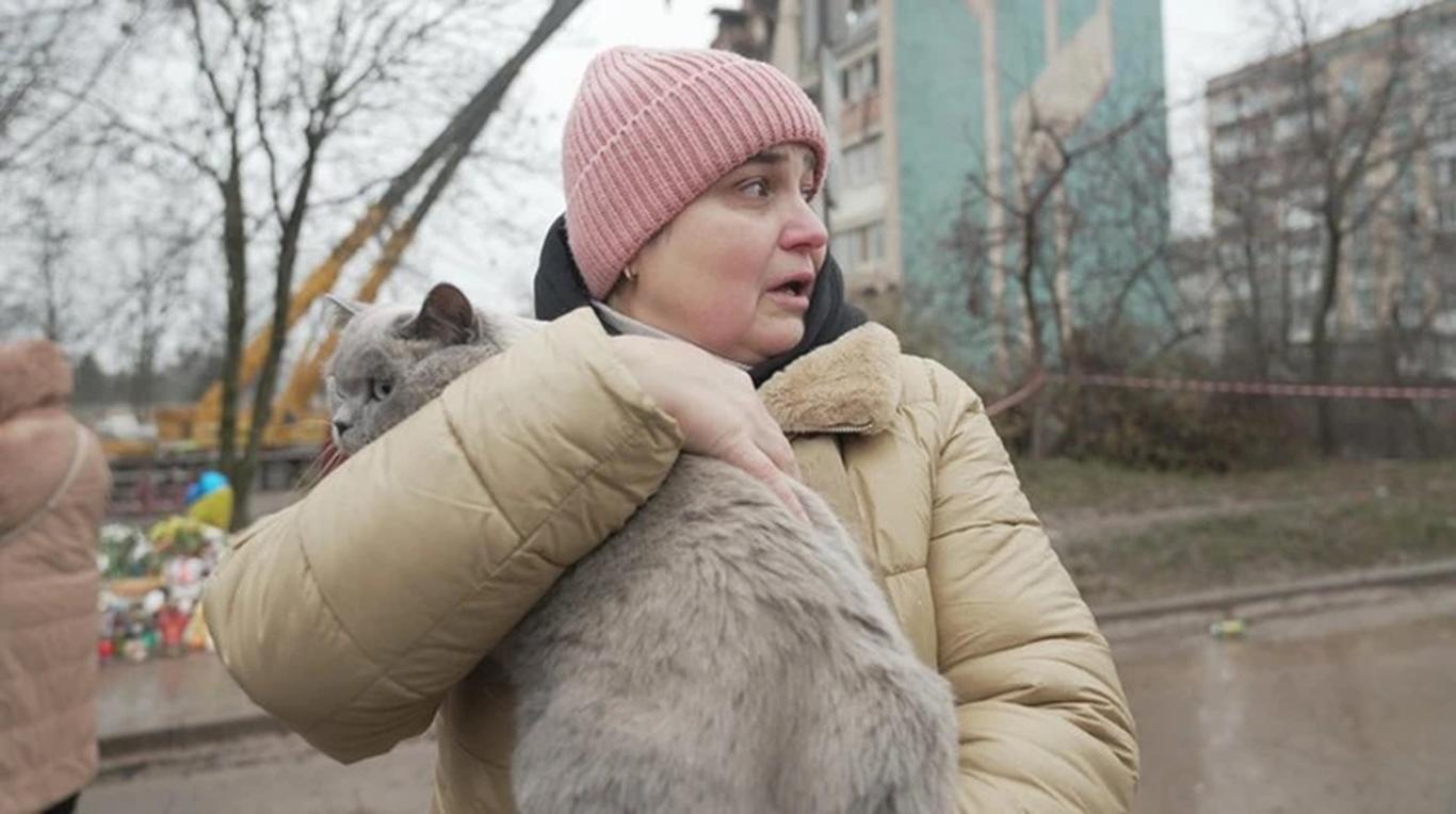 Перебувала під завалами дві доби і вижила: рятувальники дістали з-під руїн будинку в Тернополі кішку (ВІДЕО)