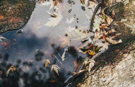 Погода на вихідні 29-30 листопада: комфортна субота без опадів і дощова неділя на півдні