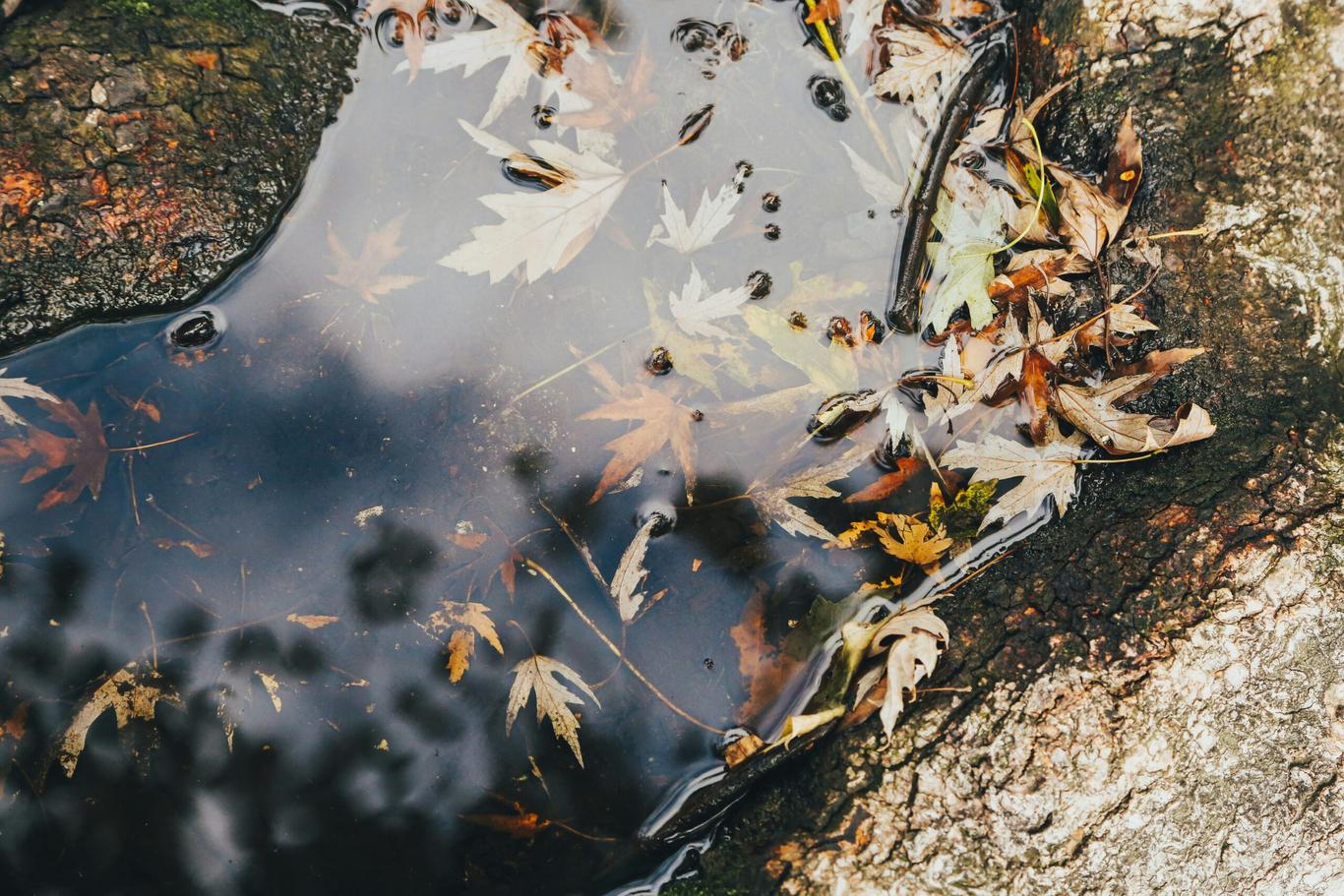 Погода на вихідні 29-30 листопада: комфортна субота без опадів і дощова неділя на півдні