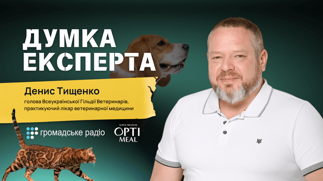 «ШІ — найгірший помічник петперента» — голова Всеукраїнської Гільдії Ветеринарів Денис Тищенко