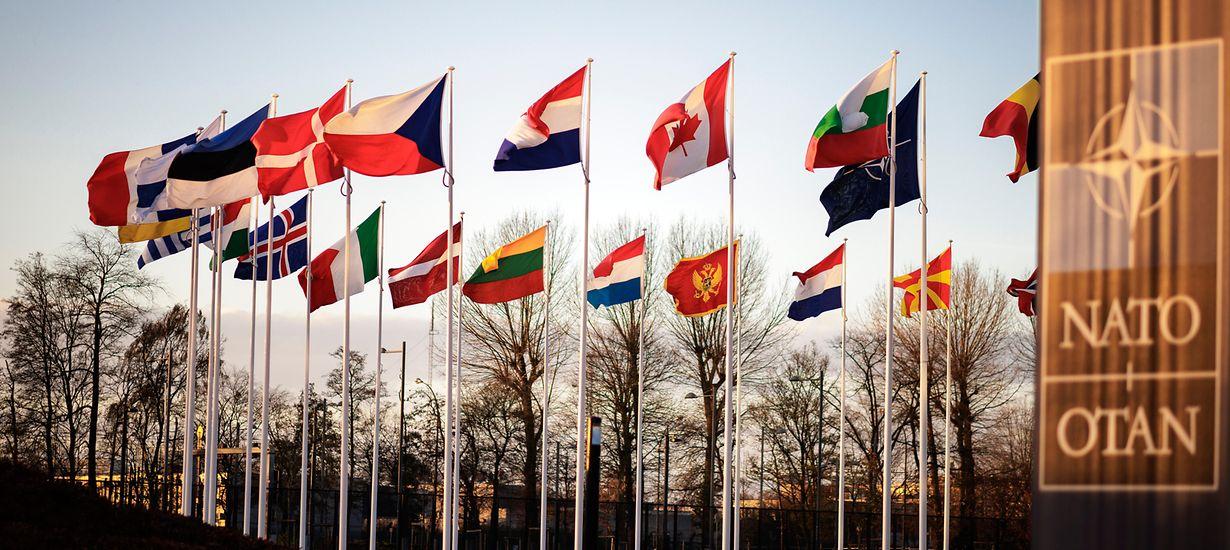 Підтримка України — це інвестиція у безпеку НАТО — офіційна представниця Альянсу