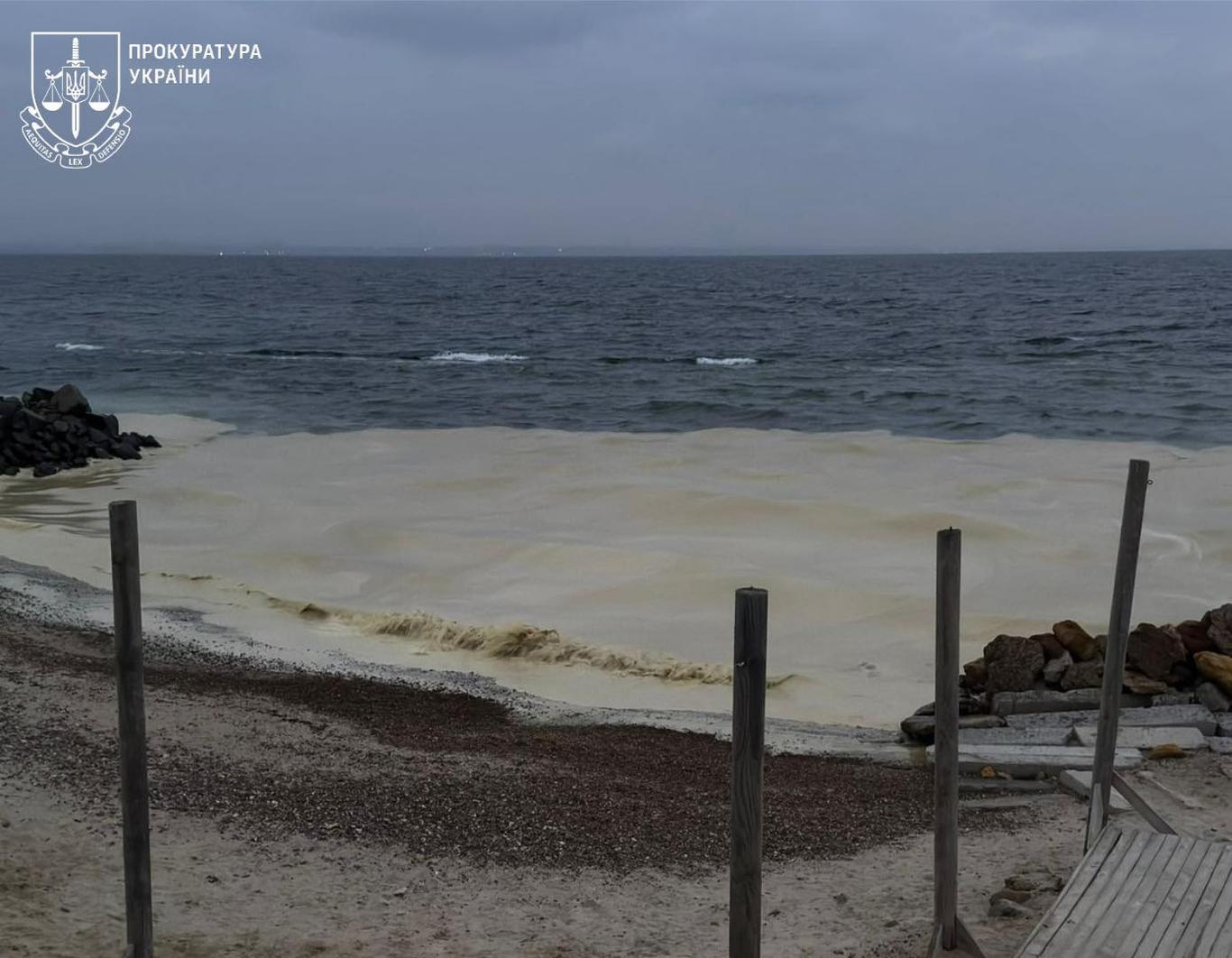 Через російські атаки по порту в Одесі стався витік олії у Чорне море, загинули птахи