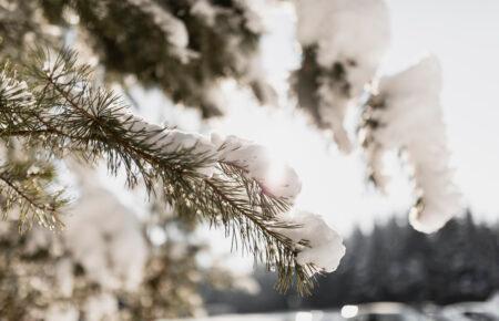 Синоптик розповів, якою буде погода в Україні у новорічну ніч