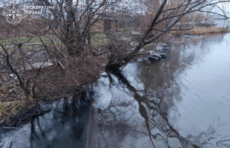 Ладижинську ТЕС обшукали через викид мазуту в річку Південний Буг