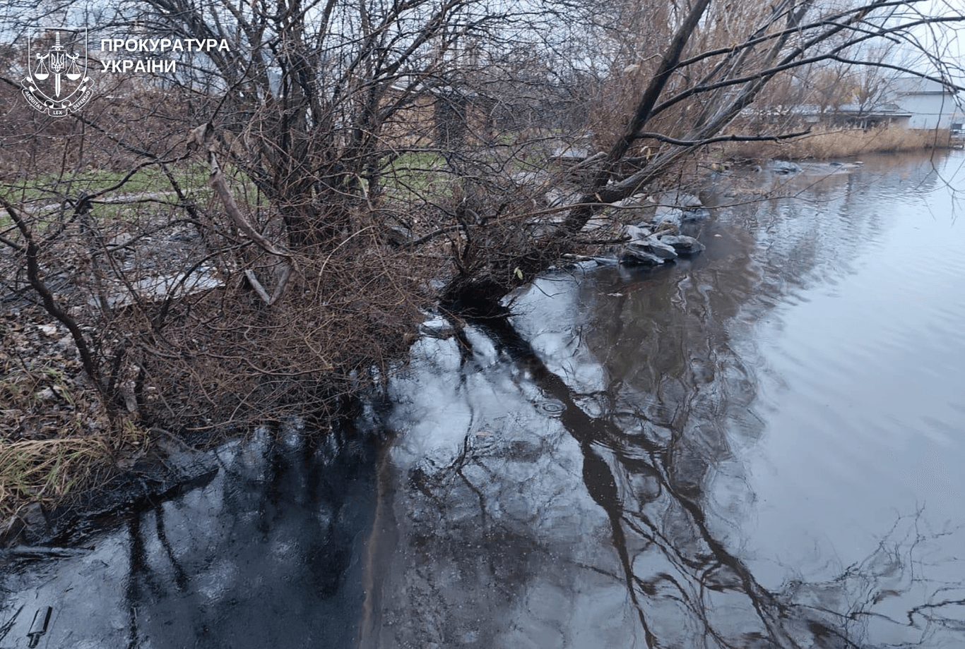 Ладижинську ТЕС обшукали через викид мазуту в річку Південний Буг