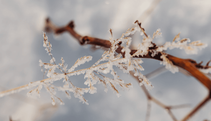 Погода на вихідні 3-4 січня: інтенсивні опади по всій Україні та різке потепління після морозів