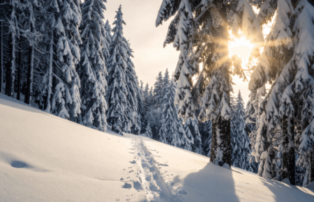 Лютий мороз до -17°C і снігопади: погода на вихідні 10-11 січня