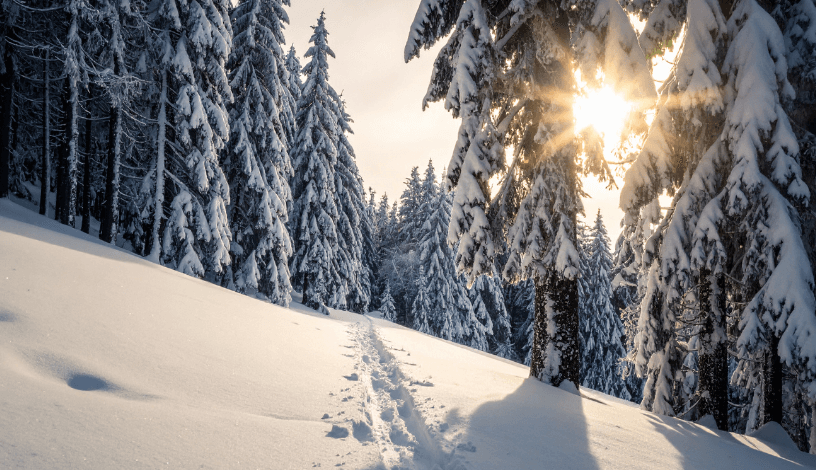 Лютий мороз до -17°C і снігопади: погода на вихідні 10-11 січня