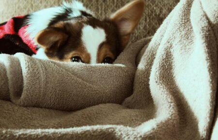 Ситуація з теплом покращиться лише у березні, — експерт з енергетики