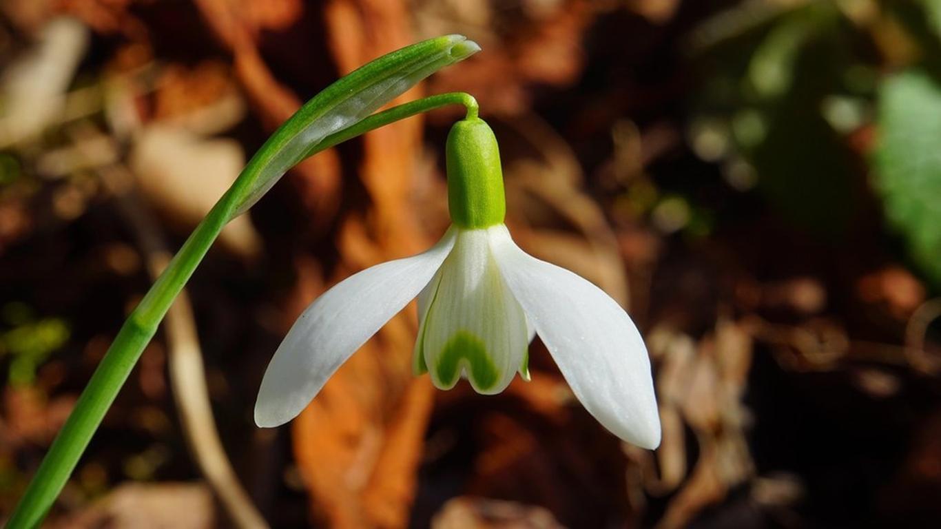 Суттєве потепління почне заходити в Україну з найближчої неділі