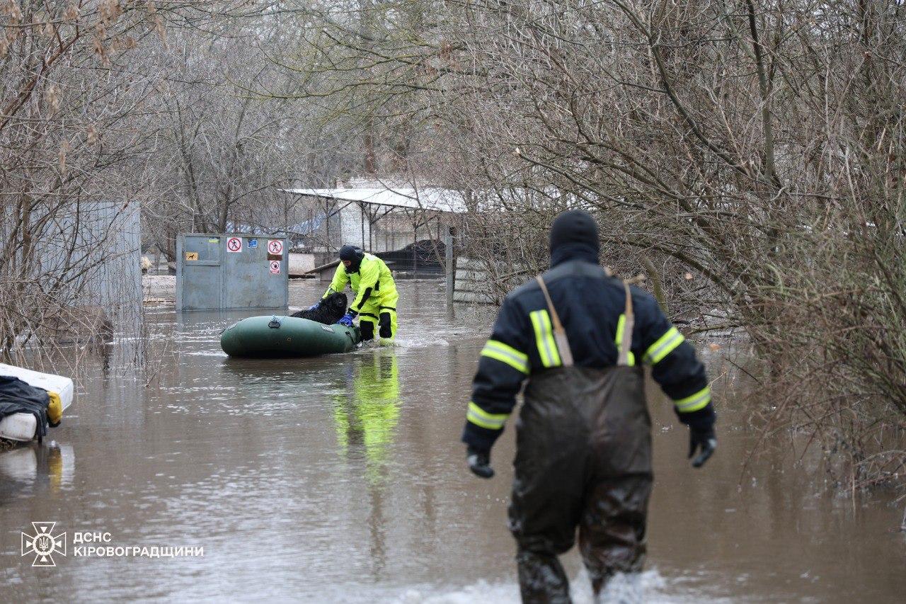 У Кропивницькому затопило два притулки для тварин: що відомо та як допомогти