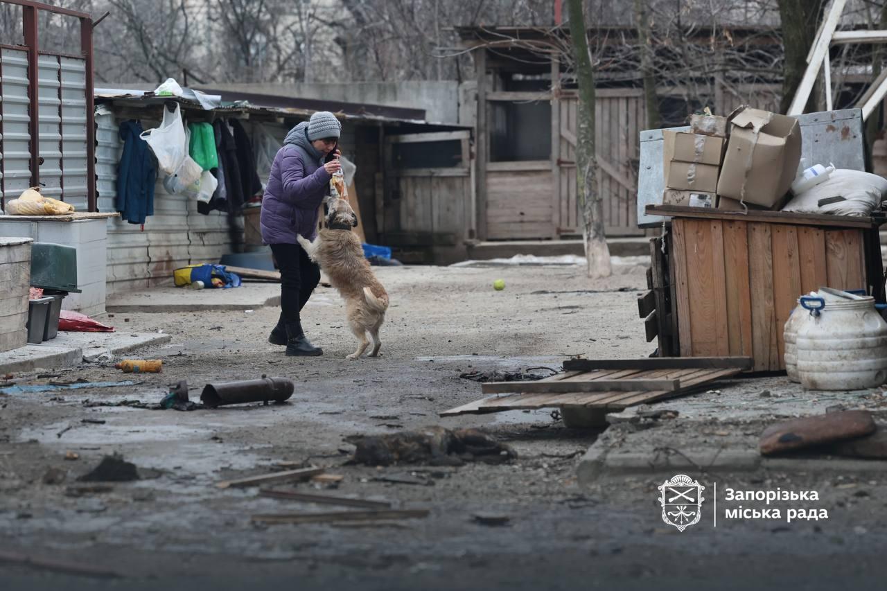 Росіяни вдарили по притулку для собак у Запоріжжі (ФОТО, ВІДЕО)