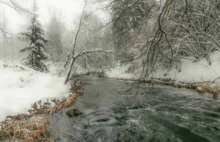 Танення снігу: чи загрожують Україні паводки та повені цього року