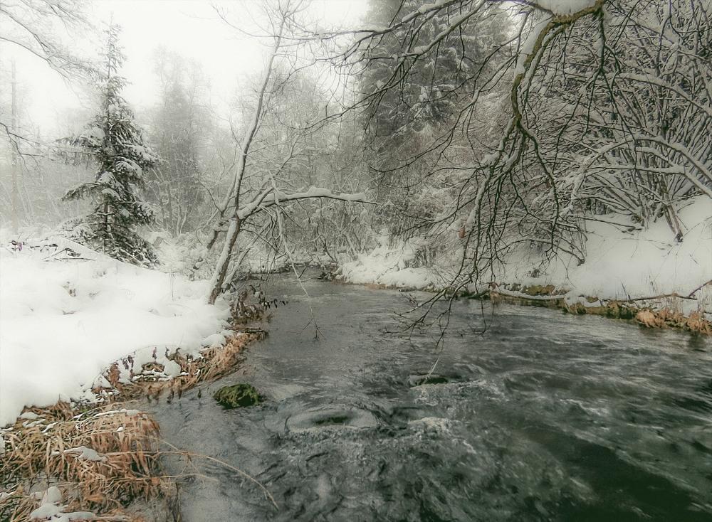 Танення снігу: чи загрожують Україні паводки та повені цього року