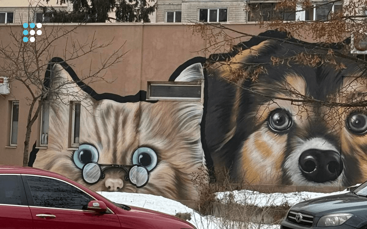 У Києві та області понад 7 тисяч тварин у притулках, містян закликають допомагати (ФОТОРЕПОРТАЖ)