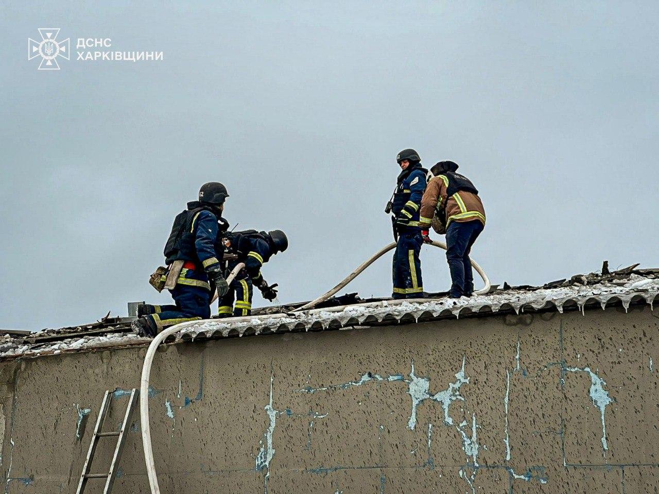 Внаслідок обстрілу росіянами ферми на Харківщині загинули 100 свиней і постраждав чоловік (ФОТО)