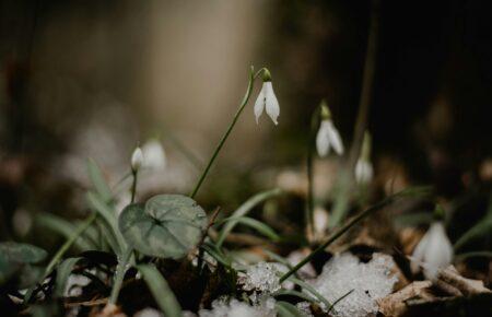 Зима закінчиться потеплінням для західних та південних областей