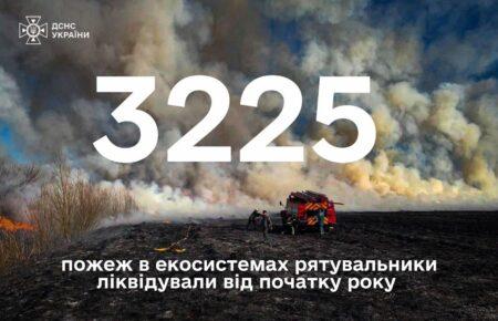 ДСНС: Від початку року в Україні зафіксовано 3225 пожеж в екосистемах
