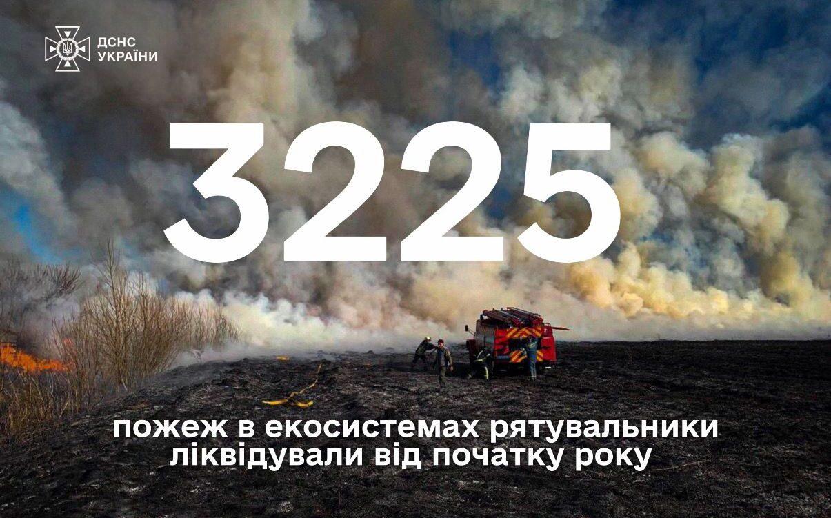 ДСНС: Від початку року в Україні зафіксовано 3225 пожеж в екосистемах