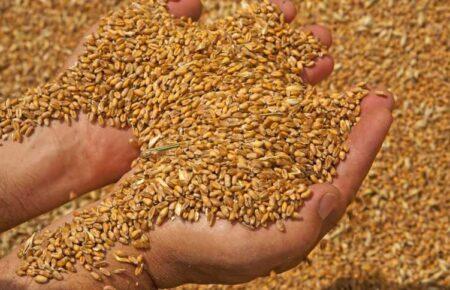 Турецький постачальник ООН купує в росіян викрадене з Маріуполя зерно, — розслідування