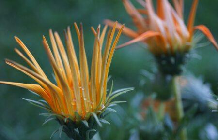 Якою буде погода на початку квітня: синоптики дали прогноз