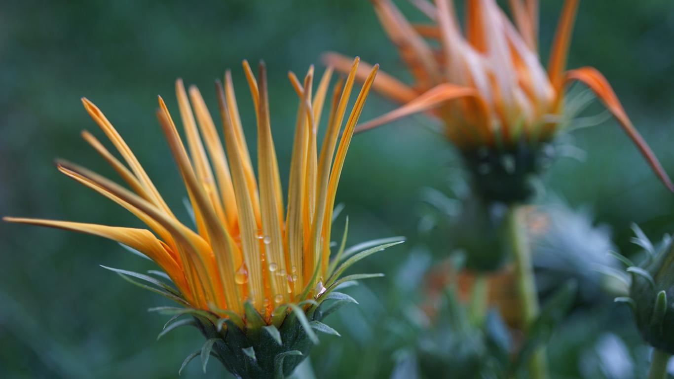 Якою буде погода на початку квітня: синоптики дали прогноз