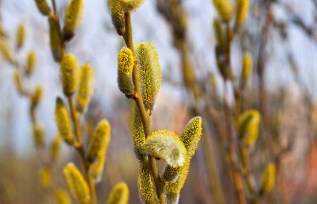 Синоптикиня розповіла, якою буде погода в Україні на початку тижня