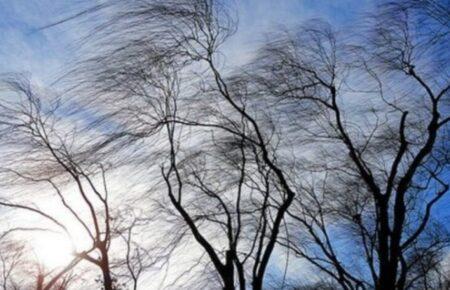 Синоптики попередили про сильний вітер та заморозки в Україні